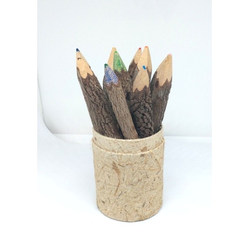 Vintage Twig Crayons Natural Wood Bark Crayon Set Rustic Art Supply 11pc